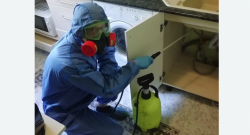 Уничтожение муравьев в квартире. Малоархангельск