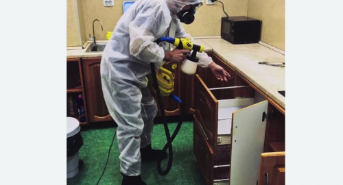 Уничтожение насекомых в квартире. Малоархангельск