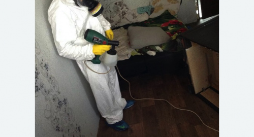 Обработка квартир от насекомых в Малоархангельске