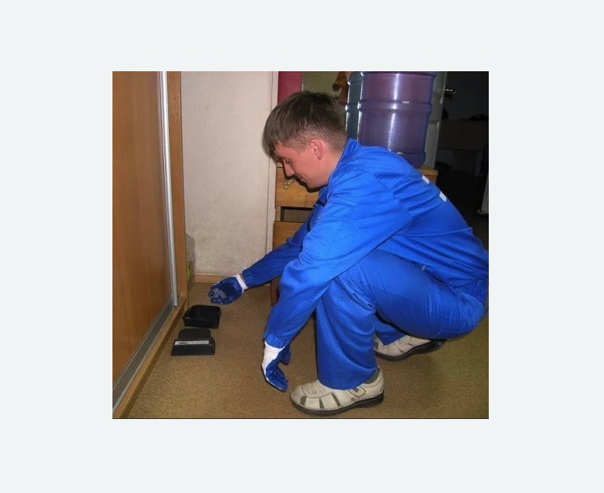 Дератизация крыс в Малоархангельске