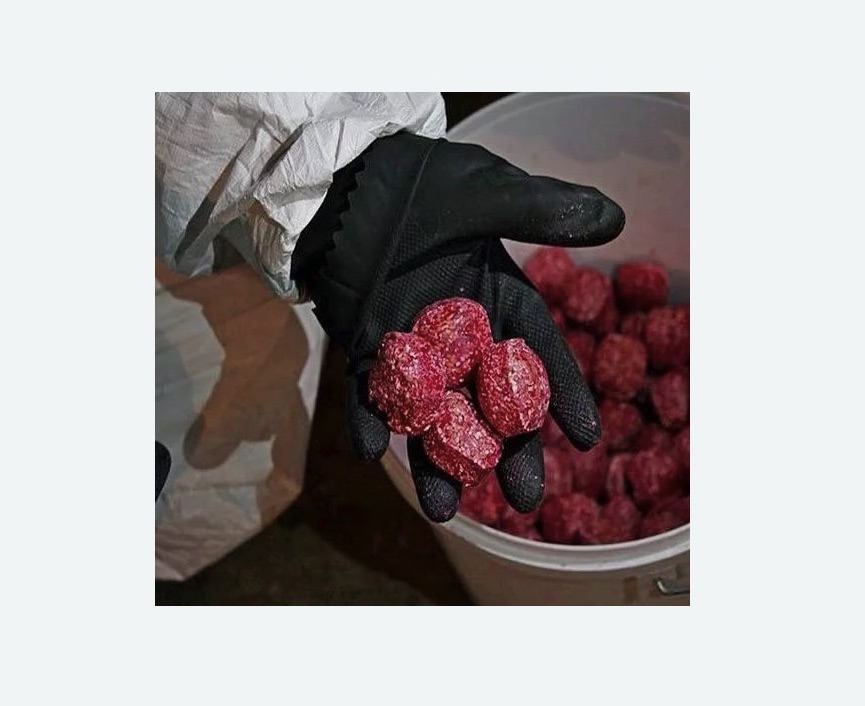 Обработка от крыс в Малоархангельске