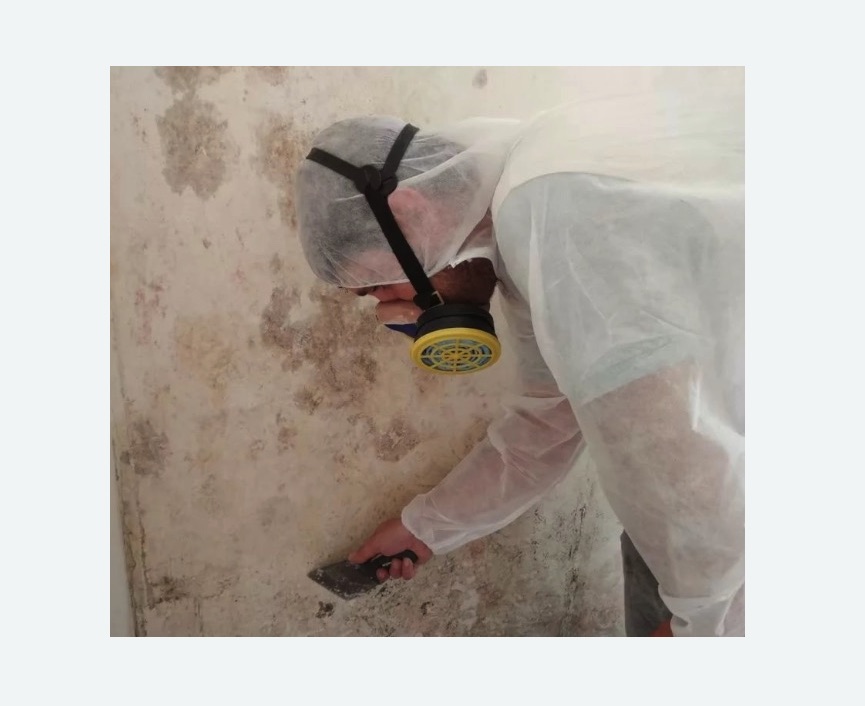 Обработка стен от плесени в Малоархангельске