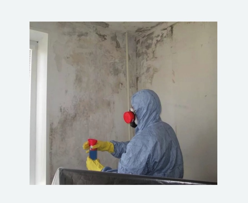Удаление плесени в квартире в Малоархангельске