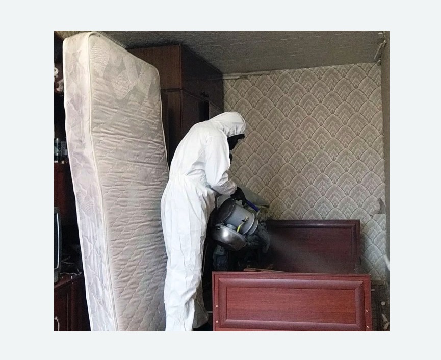 дезинфекция от клопов в Малоархангельске