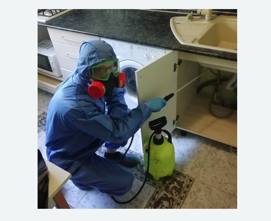 обработка от муравьев в квартире в Малоархангельске