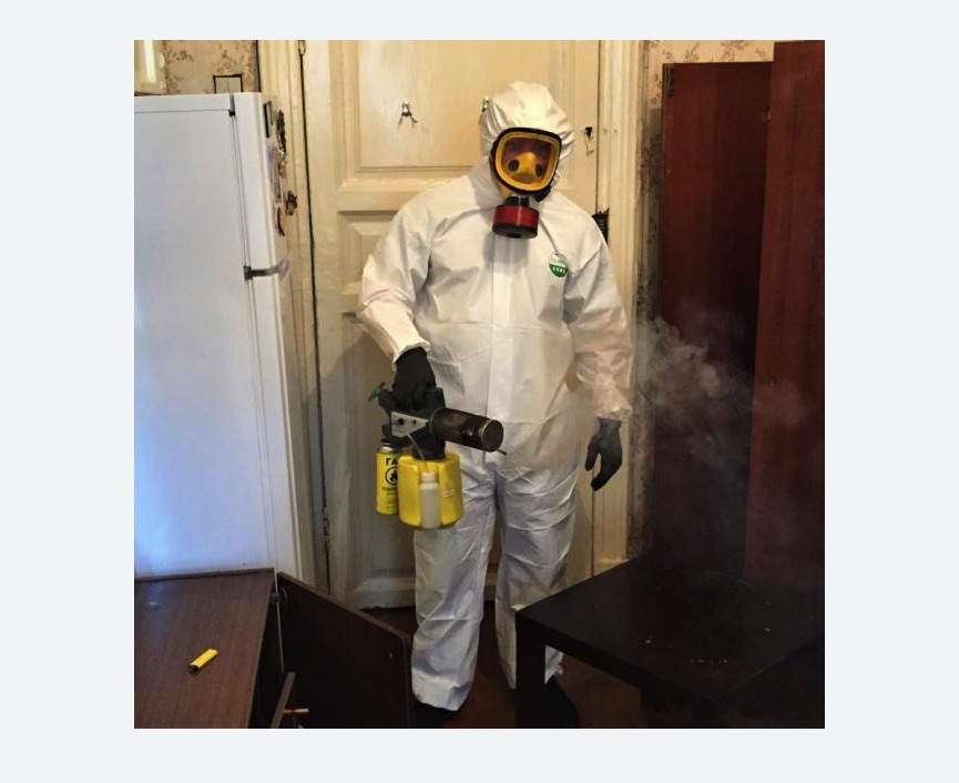 уничтожение муравьев в квартире в Малоархангельске